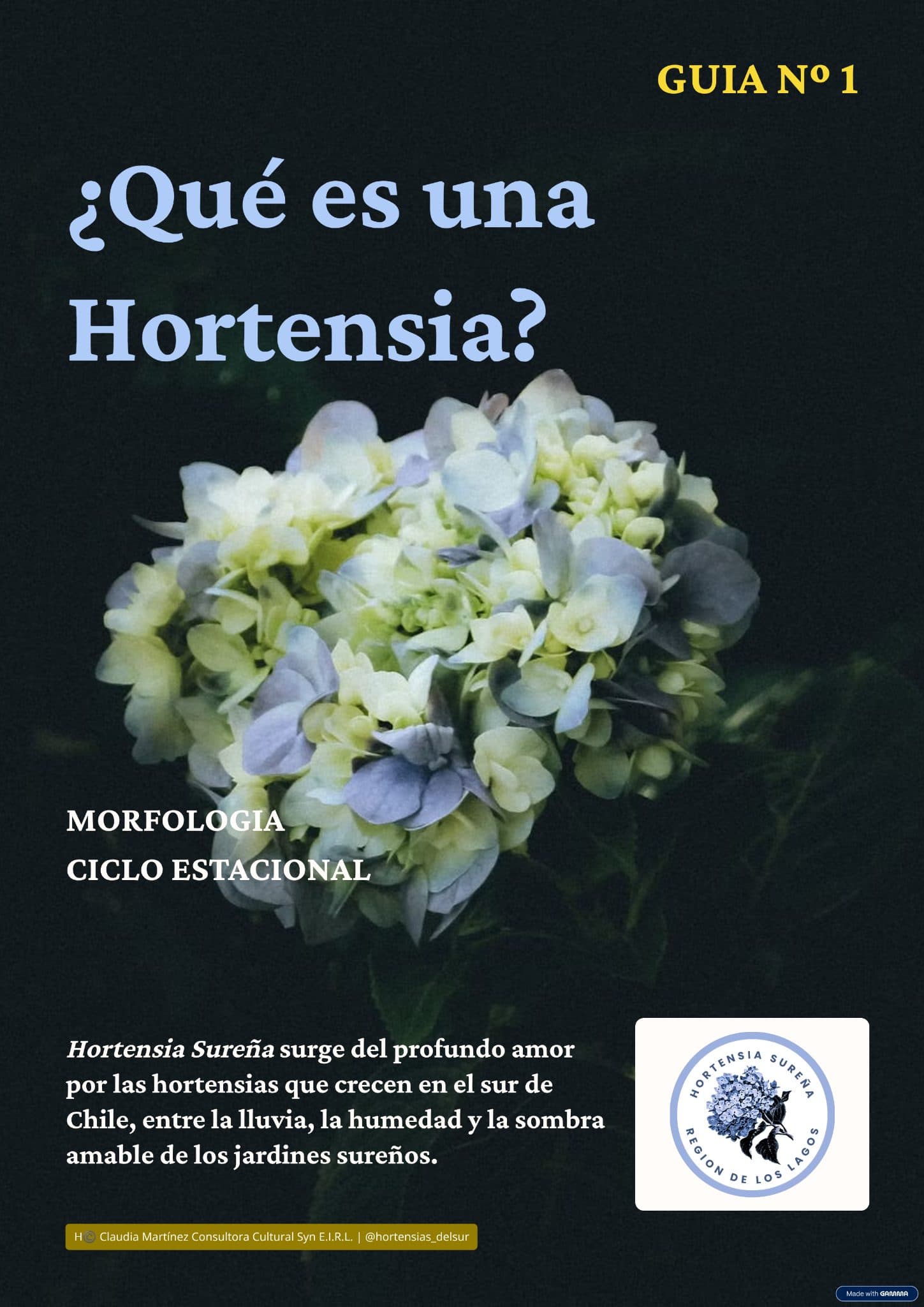 Portada de la guía número 1 Qué es una Hortensia